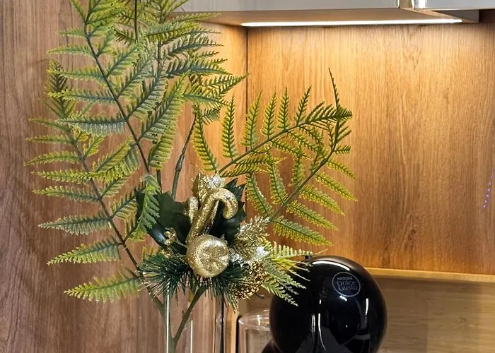 Georgijev * Vrnjacka Banja